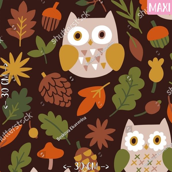 Fall owls